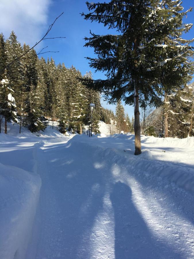 Appartements Fam. Gleinser Mirella Neustift im Stubaital Exterior foto