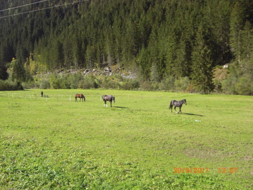 Appartements Fam. Gleinser Mirella Neustift im Stubaital Exterior foto